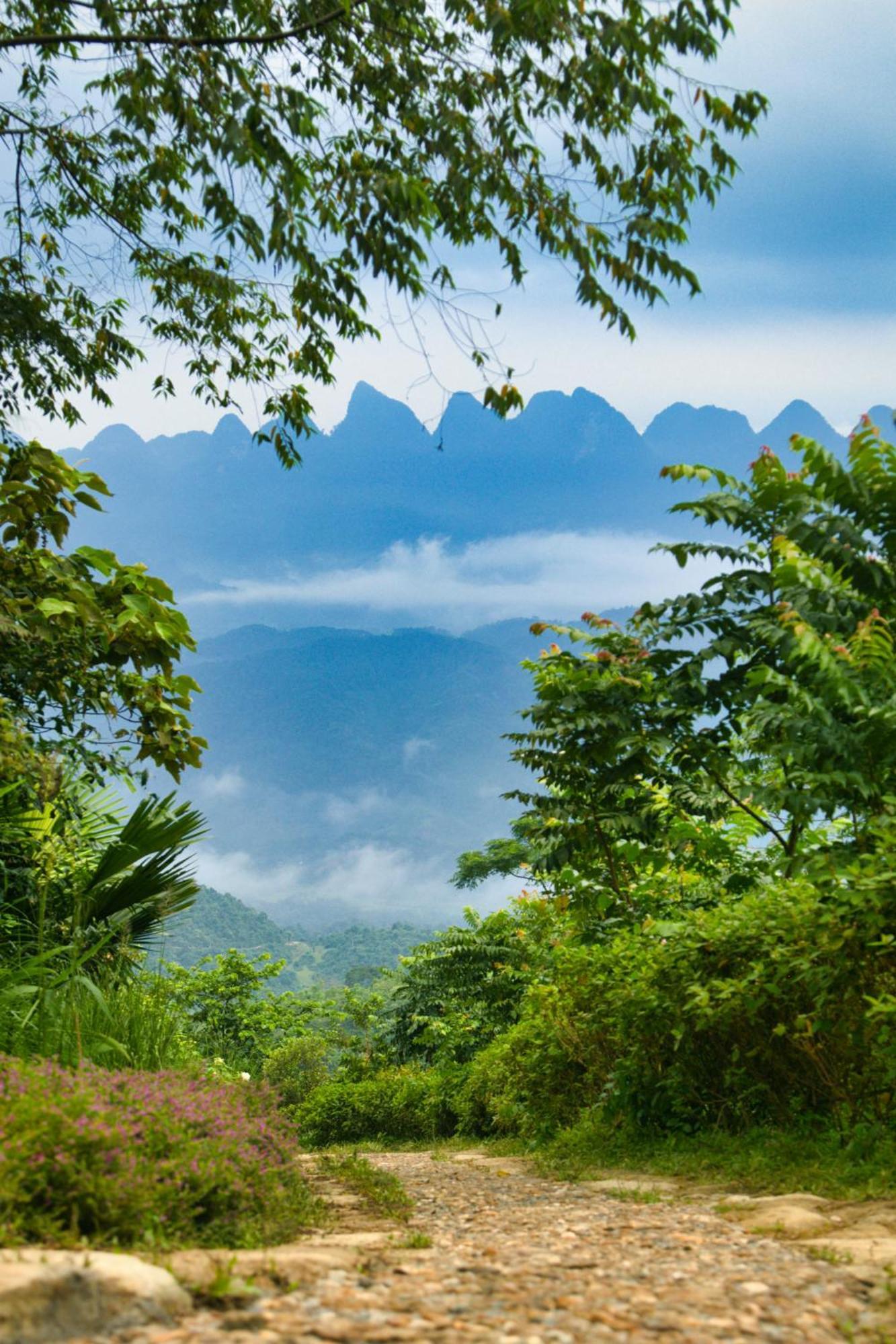 Tvpalm Ecolodge Ha Giang Exterior photo
