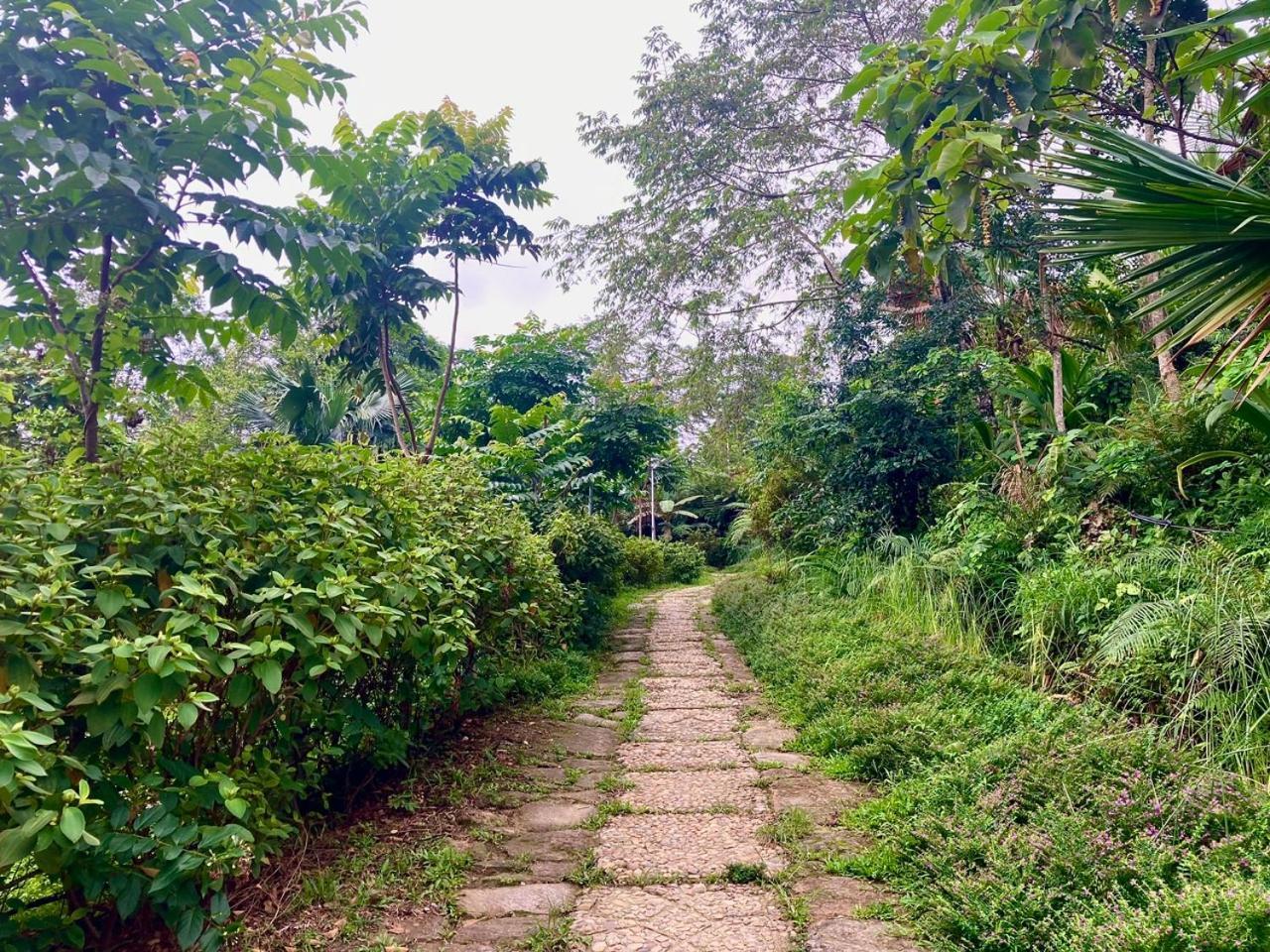 Tvpalm Ecolodge Ha Giang Exterior photo